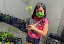 Continúan entregando árboles en el DIF Municipal