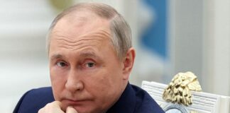 El presidente ruso Vladimir Putin afirmó en el Foro Económico Oriental que no puede detener la guerra mientras Ucrania siga su contraofensiva.