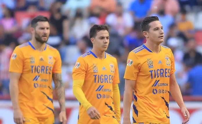 tigres