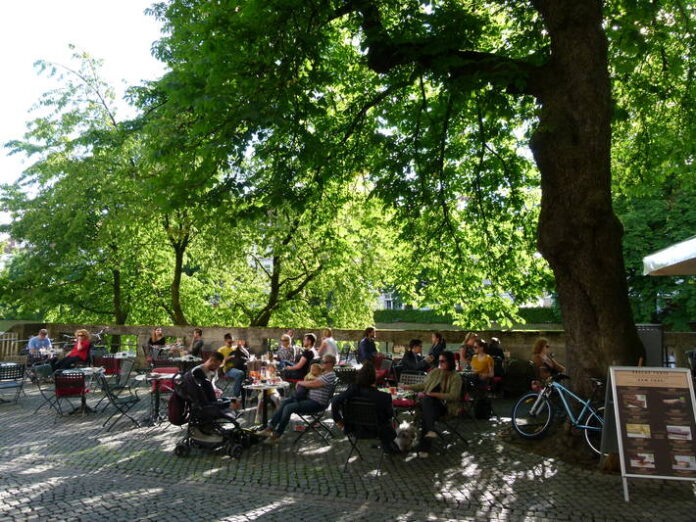 Bosques-urbanos-FAO