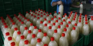 Los cárteles Jalisco Nueva Generación y de Sinaloa están detrás del suministro global de drogas como metanfetamina, cocaína y más recientemente fentanilo