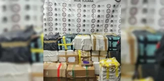 Las fuerzas del orden lograron desmantelar una de las tantas narcobodegas que existen en la ciudad fronteriza con Estados Unidos