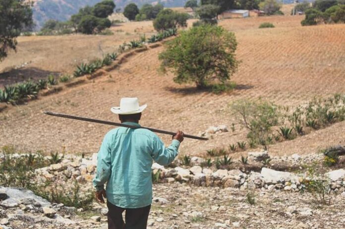 El deseo de los Ñuu Savi es que este año de verdad podamos hablar, cantar, llorar, reír en tu’un en cualquier espacio público o en los medios de comunicación. No es mucho pedir para una lengua que trae enormes grietas culturales.