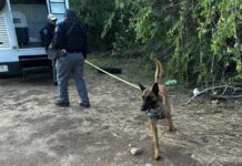 Localiza restos óseos en río Santa María de Buenaventura