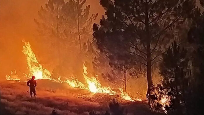 incendios-españa Frente a unos grandes incendios forestales dopados por el cambio climático, en Extremadura tratan de crear paisajes más diversos y resistentes al fuego.