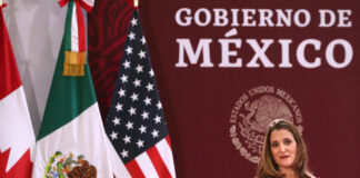México no puede quedarse rezagado ni seguir con un modelos de desarrollo de hace 40 años, opinan 19 expertos sobre la relación México - China.