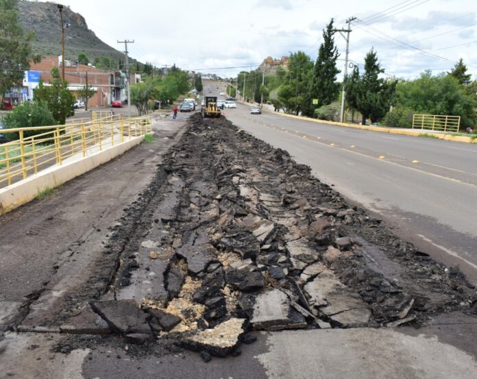 WhatsApp Image 2023-10-10 at 3.53.35 PM