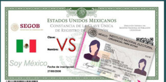La iniciativa en el Senado propone transforma la Clave Única del Registro de Población en un documento de identidad nacional con fotografía