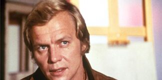 david soul