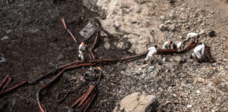 Ambientalistas sostienen que el concepto de Ecocidio debe ser punible en la Corte Penal Internacional para enfrentar los crímenes contra el medioambiente.