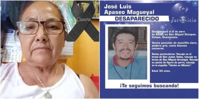 La muerte por cáncer, un asesinato y un secuestro han sufrido las madres buscadoras en Guanajuato de mayo de 2023 a la fecha.