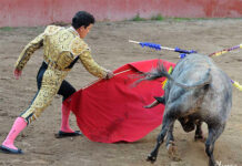 En Chihuahua los ciudadanos elegirán si la tauromaquia es un arte o un acto de violencia