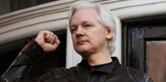 Julian Assange sobre Google, la vigilancia y el capitalismo depredador