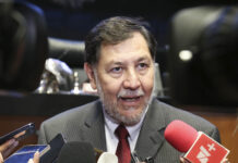 Haste el martes el Senado emitirá convocatoria para elección del Poder Judicial