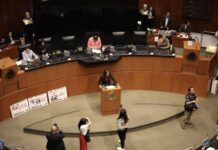 Aprueba senado en lo general reforma para extinguir 7 órganos autónomos