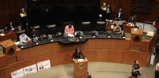 Aprueba senado en lo general reforma para extinguir 7 órganos autónomos