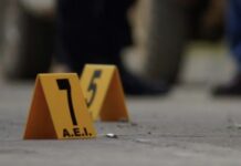 El rostro invisible del crimen organizado: la huella de la violencia en las mujeres de Chihuahua