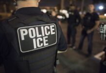 Crisis migratoria en EE.UU.: DHS revela paradero de 146 mil menores, pero mantiene alerta por 300 mil aún desaparecidos