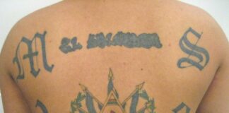 Cae líder de la Mara Salvatrucha en Ciudad Juárez