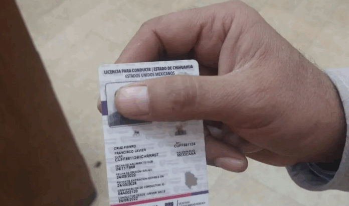 LICENCIAS