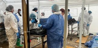 Van 53 cuerpos identificados de los 386 encontrados en crematorio “Plenitud”