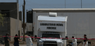 Van 65 cuerpos identificadas de los 389 localizados en crematorio “Plenitud”