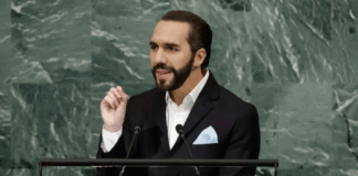 Como “inútil y perdida de tiempo” asistir a la ONU: Bukele