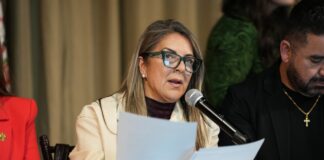 Diputada Rosana Díaz propone facilitar el acceso ciudadano al plebiscito