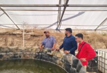 Apuestan por la Inteligencia Artificial para revolucionar el campo y la acuicultura en Juárez