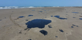 Acusan ongs a Sheinbaum de “omisión” en derrame masivo de crudo en el Golfo