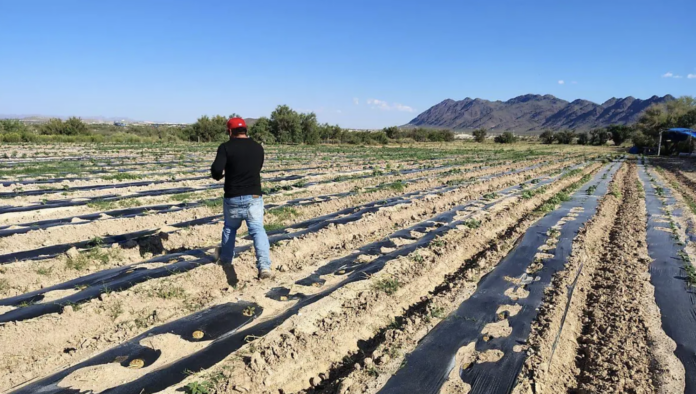 Captura de pantalla 2026-04-13 a la(s) 11.37.27 a.m.