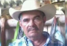 Ejecutan a defensor ambiental en Michoacán; ya había sido amenazado por el CJNG