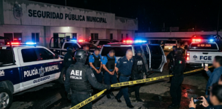 Imagen ilustrativa generada con IA