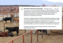 ¡Pura mentira! Gobierno Federal exhibe a la Unión Ganadera de Chihuahua; no hay acuerdo con EU