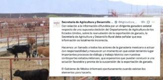 ¡Pura mentira! Gobierno Federal exhibe a la Unión Ganadera de Chihuahua; no hay acuerdo con EU