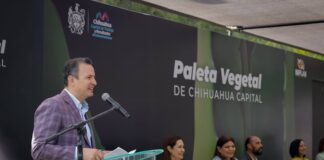 Recarpetear Chihuahua costaría dos presupuestos anuales: Alcalde