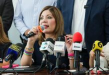 Ni miedo, ni preocupación del show mediático de Morena: Daniela Álvarez