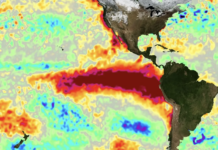 «El Niño» amenaza con desestabilizar la seguridad alimentaria y el ecosistema en Latinoamérica