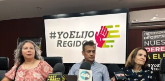 Reforma electoral estancada: Partidos frenan la elección directa de representantes municipales