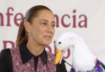 «No hago propaganda»: Sheinbaum se defiende por no recibir públicamente a madres buscadoras tras polémica por el pato Merlín