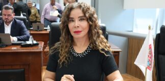 Resulta el peritaje del atropello de Gerardo Pablo deshumanizado e irresponsable: diputada María Antonieta