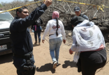 Localizan más de 100 restos óseos en la zona rural de Acapulco durante búsqueda del activista Vicente Iván Suástegui