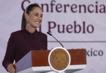 Plan exprés de Sheinbaum busca destrabar el aguacate de Michoacán tras nuevo retiro de inspectores gringos