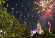 Cero pesos para protegerlos, millones para el espectáculo: Denuncian nuevo ecocidio por pirotecnia contra loros en Mérida