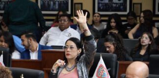Chihuahua da paso histórico al tipificar acecho: América Aguilar