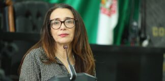 De nada sirve tipificar el acecho sin protocolos reales de investigación: Leticia Ortega