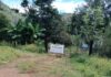 Descubren presunto centro de exterminio e incineración clandestina en Xalisco, Nayarit