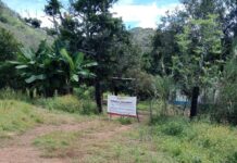 Descubren presunto centro de exterminio e incineración clandestina en Xalisco, Nayarit