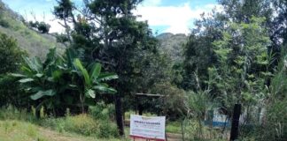 Descubren presunto centro de exterminio e incineración clandestina en Xalisco, Nayarit
