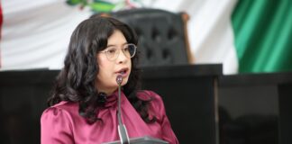 Exhibe Jael Argüelles vicios de la reforma electoral: «La Suprema Corte vino a corregirles la plana al PAN»
